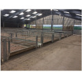 Fast install galvanized steel structure corrugated steel sheet wall farm house Poultry shed steel frame Building